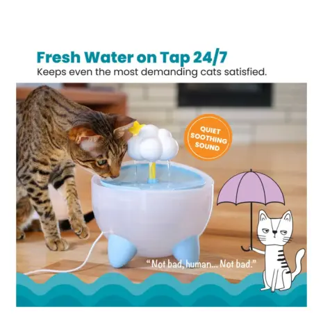 Catstages Purrfect Rain Cat Water Fountain product view 5 Catstages Purrfect Rain Cat Water Fountain product view 5