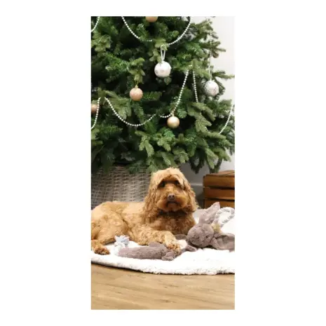 Festive Rope Donkey product view 5 Festive Rope Donkey product view 5
