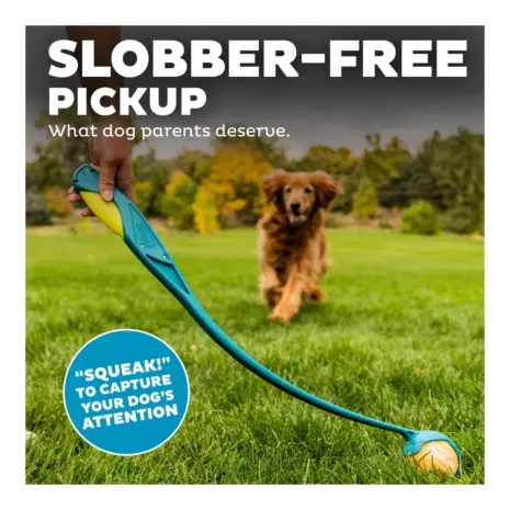 Outward Hound Launch A Ball Squeak Turquoise product view 5 Outward Hound Launch A Ball Squeak Turquoise product view 5