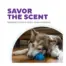 Outward Hound Gummiez Bear Blue product view 5