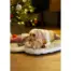 Goldie Goose product view 3