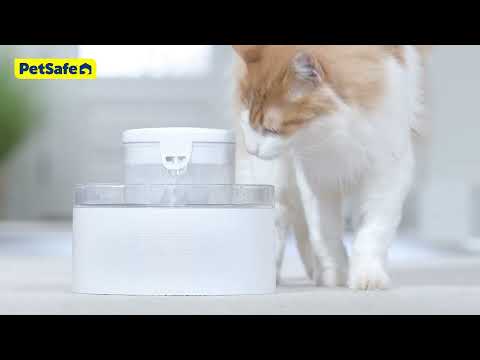 PetSafe Outlast 1.7 Litre Pumpless Pet Fountain 1 Meet the New Pumpless PetSafe® Outlast™ Pet Fountain — video preview