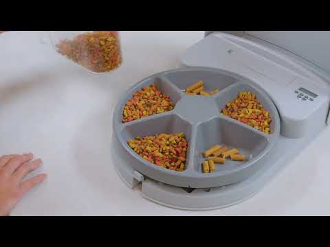 PetSafe 5 Meal Pet Feeder 1 PetSafe® 5 Meal Pet Feeder — video preview