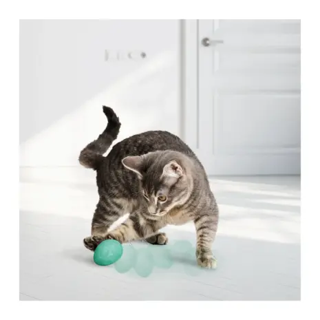 KONG Infused Catnip Eggs — 2 Pack — detail 2 KONG Infused Catnip Eggs — 2 Pack — detail 2