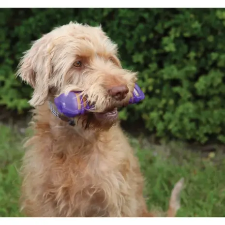 Jolly Doggy Goggle Bone product view 3 Jolly Doggy Goggle Bone product view 3