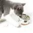 Kit Cat Canned Food Aspic/Toppers Bulk Deal (80g x 24 tins) product view 5