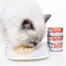 Kit Cat Goat's Milk Gourmet Bulk Deal (70g x 24 tins) product view 2