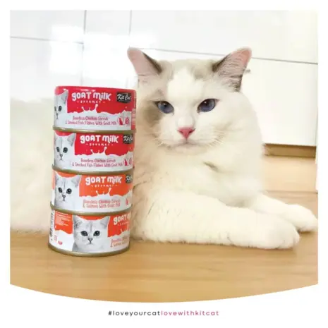 Kit Cat Goat's Milk Gourmet Bulk Deal (70g x 24 tins) product view 3 Kit Cat Goat's Milk Gourmet Bulk Deal (70g x 24 tins) product view 3