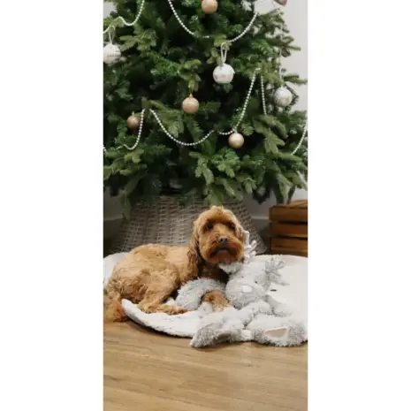 Maxi Festive Flattie Reindeer product view 4 Maxi Festive Flattie Reindeer product view 4