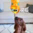 Outward Hound Sssupreme Snake product view 2