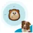 Outward Hound Tough Skinz Hedgie Small product view 3
