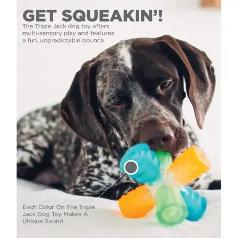 Outward Hound Triple Jack product view 3 Outward Hound Triple Jack product view 3