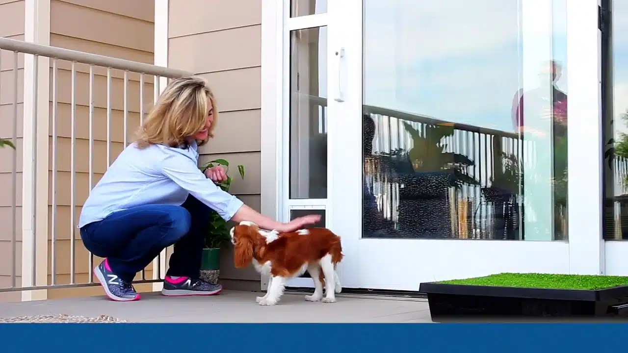 How to Install the PetSafe Sliding Glass Door — video preview How to Install the PetSafe® Sliding Glass Door — video preview