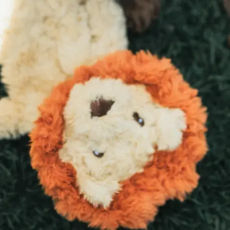 Rosewood My Dog Lion product view 5 Rosewood My Dog Lion product view 5