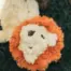 Rosewood My Dog Lion product view 5