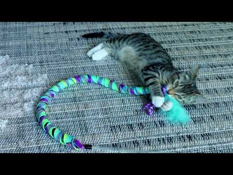 KONG Teaser Curlz Cat Wand 1 KONG Teaser Curlz in action — video preview