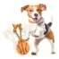 Dog investigating the orange AFP Spinning Basketball and rope