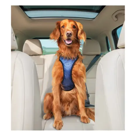 PetSafe Happy Ride Safety Harness - Large Dog wearing a PetSafe Happy Ride Safety Harness in Large