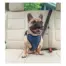 Dog wearing a PetSafe Happy Ride Safety Harness in Medium