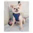 Dog wearing a PetSafe Happy Ride Safety Harness in Small