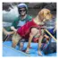 Dog wearing a Kurgo Surf n Turf life jacket while rafting
