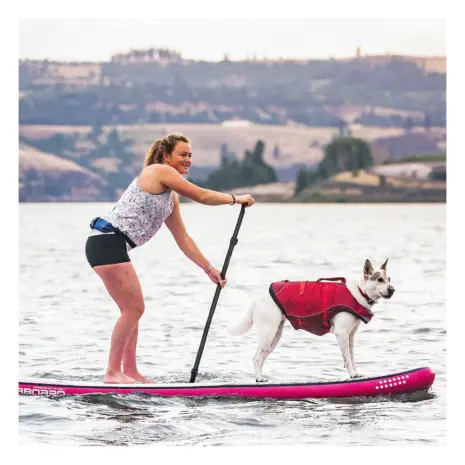 Kurgo Surf n Turf life jacket on the water Dog wearing a Kurgo Surf n Turf life jacket on the water