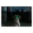 SportDOG Locator Beacon improving dog visibility at night