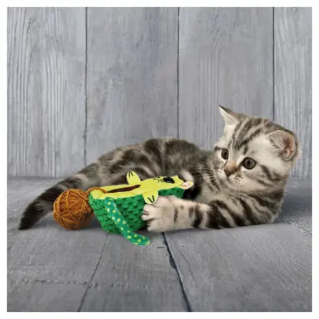KONG Wrangler AvoCATo Cat Toy — Toy during supervised play KONG Wrangler AvoCATo Cat Toy — Toy during supervised play