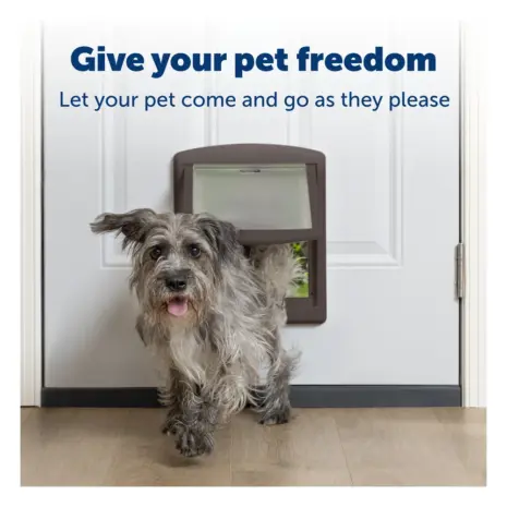 PetSafe Staywell brown pet door installed Brown PetSafe Staywell Original 2-Way Pet Door installed in a household door