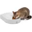 PetSafe 5 Meal Pet Feeder - cat eating from the feeder