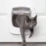 PetSafe Big Cat Flap - cat passing through the installed flap