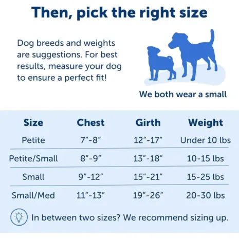 PetSafe Easy Walk No-Pull Dog Harness - XS Raspberry - size guide with chest, girth and weight measurements PetSafe Easy Walk No-Pull Dog Harness - XS Raspberry - size guide with chest, girth and weight measurements