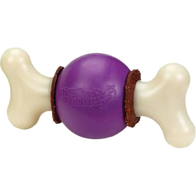 Pet Door Replacement Flaps 58 Busy Buddy Medium Bouncy Bone Dog Toy - cream bone shaped dog toy with purple central ball and brown rings